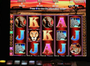 HB火博·体育官方正版手游客户端