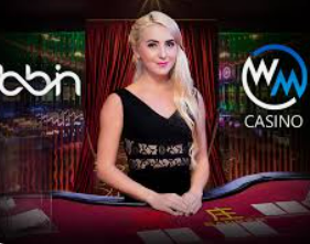 HB火博·体育官方正版手游2024最新版